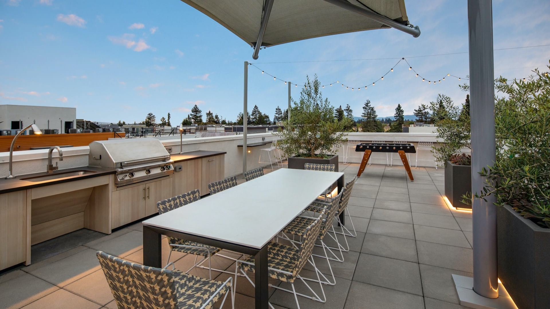 Rooftop BBQ Area
